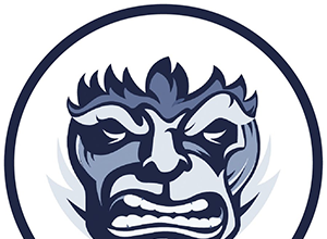 Курсы ConvertMonster — есть ли польза от этого обучения?