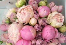 Цветы: скрасят любое торжество