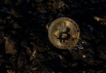 В какую криптовалюту вложить деньги в 2022 году?